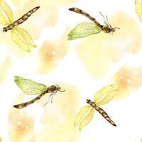 libélulas em aguarela pano de fundo desatado padronizar isolado em branco. vôo insetos ilustração mão retirou. colorida esboço insetos com transparente asas. Projeto para têxtil, talheres, invólucro vetor