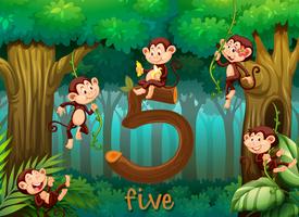 Cinco macaco na selva vetor