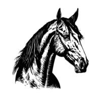 cavalo silhueta animal Preto cavalos gráfico vetor ilustração