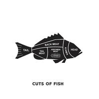 vetor ilustração guia carne cortes definir. peixe açougueiro poster diagramas e esquemas.