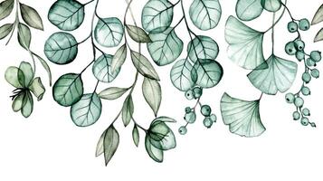 aguarela desenho. desatado fronteira com transparente eucalipto e ginkgo folhas. raio X vetor