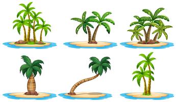 Ilhas e palmeira vetor