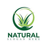 natural, eco comida, verde folha plantinha, crescendo plantar logotipo Projeto vetor modelo. natural logotipos com folhas