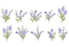 conjunto do buquês do lavanda flores vetor ilustração isolado em branco fundo.