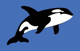 Preto e branco estêncil silhueta do a orca sobre azul água fundo vetor