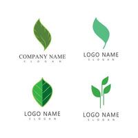 verde folha logotipo vetor elemento símbolo modelo