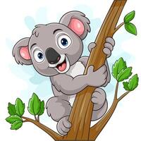 coala de desenho animado em um galho de árvore vetor