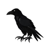 Preto Raven em uma branco fundo dentro desenho animado estilo vetor