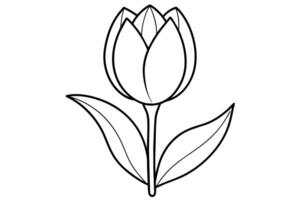 tulipa vetor arte ilustração