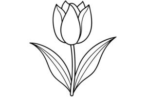 tulipa vetor arte ilustração