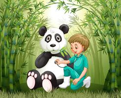 Médico veterinário e Panda na floresta de bambu vetor