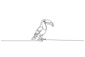 tucano pássaro, Preto linha desenho, 1 linha esboço em branco fundo vetor