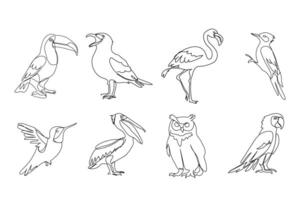 conjunto do diferente pássaros, Preto linha desenho, tucano, gaivota, coruja, coruja, papagaio, pica-pau em branco fundo vetor