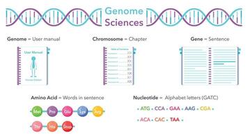 genoma ciências educacional vetor ilustração gráfico analogia para do utilizador manual ou livro
