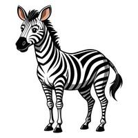 vetor zebra em pé em branco.