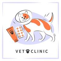 veterinário clínica ou hospital para animais. gatos tratamento. remédio para animais de estimação. vetor fundo