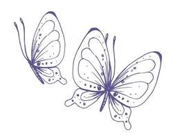 delicado borboletas com padrões em a asas simples, doce, luz, romântico. ilustração graficamente desenhado à mão dentro lilás tinta dentro linha estilo. conjunto do isolado eps vetor objetos