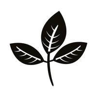 ícone de estilo de silhueta autum ovate leafs vetor