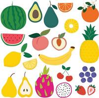 conjunto do verão frutas elementos mão desenhado vetor ilustração para decorar convite cumprimento aniversário festa celebração Casamento cartão poster bandeira têxtil papel de parede papel embrulho fundo