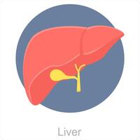 fígado e anatomia ícone conceito vetor
