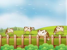 Uma fazenda com vacas vetor