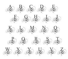alfabeto de caligrafia de arte. Ilustração vetorial EPS10 vetor