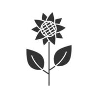 ícone de glifo de girassol. símbolo da silhueta. helianthus. espaço negativo. ilustração isolada do vetor