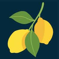 doodle desenho de esboço à mão livre de frutas limão. vetor