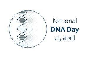 vetor ilustração para nacional dna dia em abril 25. dna, Duplo hélice molécula dentro minimalista Projeto