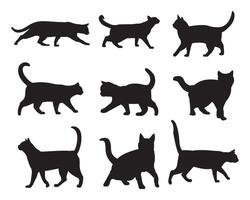 gato silhueta vetor coleção definir, logotipo, tipografia, decorativo adesivo em branco fundo.