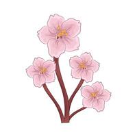 ilustração do cereja Flor vetor