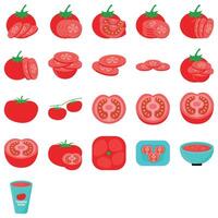 ilustração do tomate pacote vetor