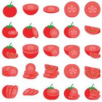 ilustração do tomate pacote vetor