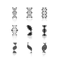 dna dupla hélice conjunto de ícones de glifo preto sombra projetada. desoxirribonucléico, ácido nucléico. fios em espiral. cromossoma. biologia molecular. Código genético. genoma. genética. ilustrações vetoriais isoladas vetor