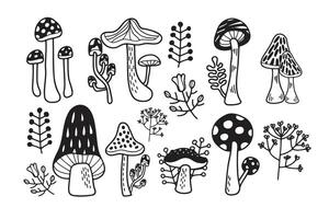mão desenhado cogumelos ou venenoso cogumelos dentro plano estilo vetor