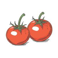 tomate grampo arte vetor ilustração