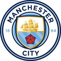 a logotipo do a Manchester cidade futebol clube do a Inglês premier liga vetor