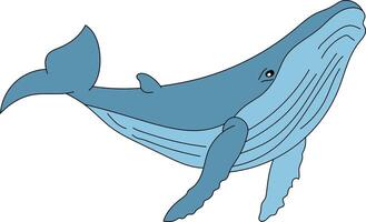 colorida baleia clipart para amantes do mar animais vetor