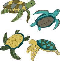colorida mar tartaruga clipart conjunto vetor