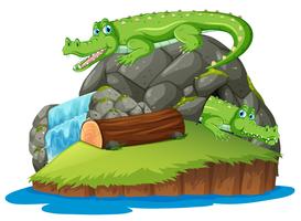 Crocodilo na ilha isolada vetor