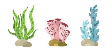 mar criaturas vetor definir. oceano algas marinhas, kelp e coral tubo esponja. recife aquático algas em a solo oceânico entre a pedras. mão desenhado desenho animado ilustração. isolado plano clipart, aquário plantas