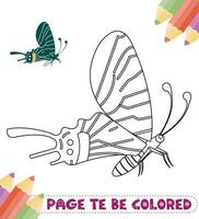 desenho de borboleta para colorir ilustração colorida vetor