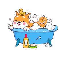 japonês kawaii Shiba inu filhote tomando banho dentro a banho vetor