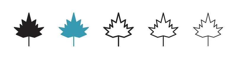 outono folha canadense ícone vetor