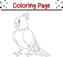 fofa calopsita pássaro coloração página vetor