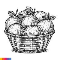 fruta cesta linha arte ilustração para a coloração livro. frutas coloração página. vetor gráficos