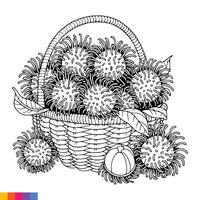 fruta cesta linha arte ilustração para a coloração livro. frutas coloração página. vetor gráficos