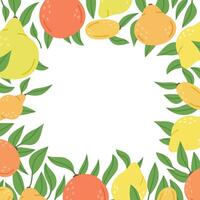 mão desenhado citrino frutas quadro. limão, laranja, Lima, yuzu e kumquat azedo gosto frutas. rabisco orgânico Vitamina c citrino frutas vetor fundo ilustração