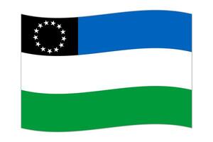 acenando bandeira do rio negro, administrativo divisão do Argentina. vetor ilustração.