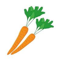 cenouras vegetais isoladas vetor